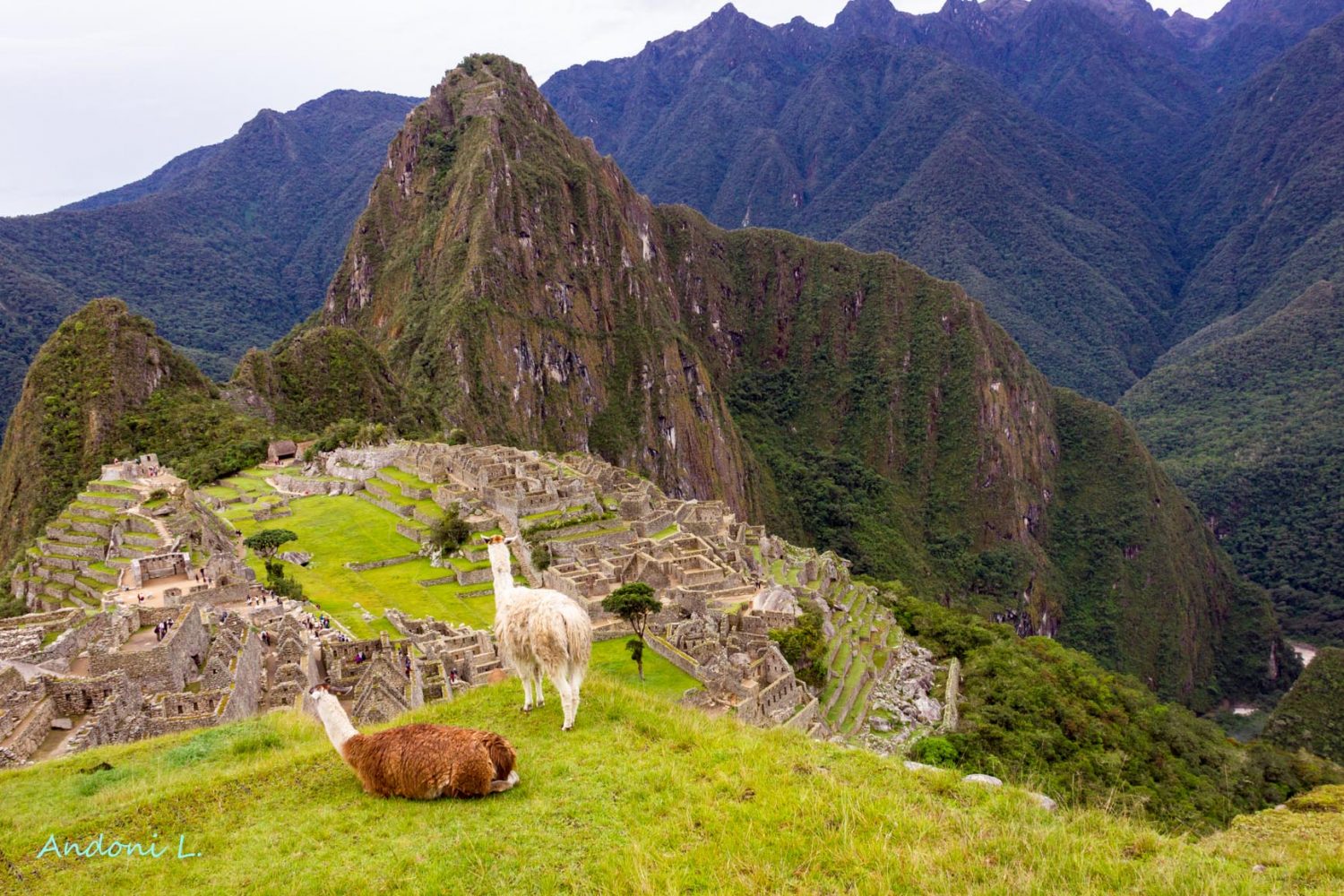 11Machu Picchu