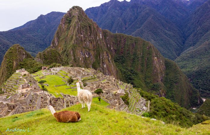 Machu Picchu