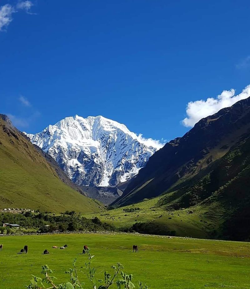 salkantay trek